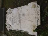 image of grave number 575409